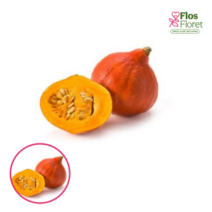 Ķirbis - Uchiki Kuri. SĒKLAS _3s