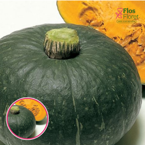 Ķirbis - Sweet Mama F1. SĒKLAS _3s