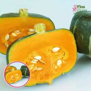 Ķirbis - Bonbon. SĒKLAS _3s