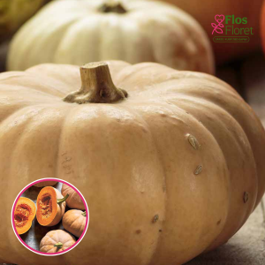 Ķirbis - Butterkin. SĒKLAS _3s