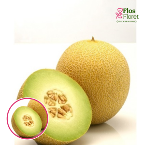 Melone - Jucar F1. SĒKLAS _5s