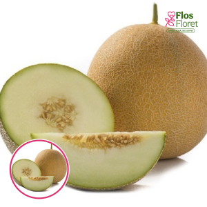 Melone - GEDIZ F1. SĒKLAS _5s