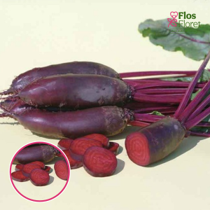 Bietes - Taunus F1 (cilindriskas). SĒKLAS _5g