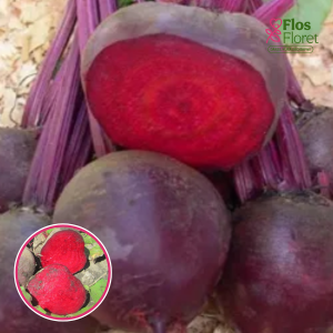 Bietes - BETINA . SĒKLAS _5g