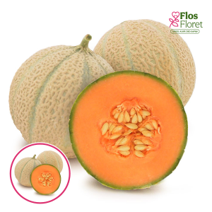 S85. Melone (potēta) - SIVAN F1 GRAFTED