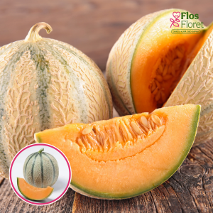 S94. Melone - MELON CYRANO F1