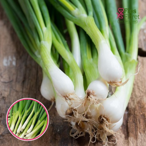 Sīpoli loku - BLANCA DE LISBOA. SĒKLAS _2g.