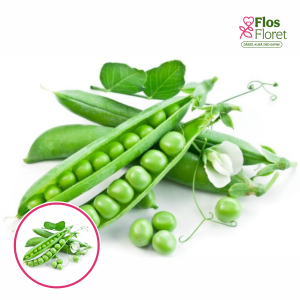 Zirņi - Kaskada. SĒKLAS _30g.