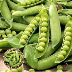 Zirņi - JANTAR. SĒKLAS _30g.