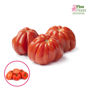 L18. Tomāts - LIGURIA