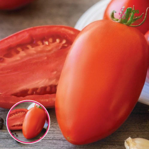 L26. Tomāts - SUPER MAMA F1