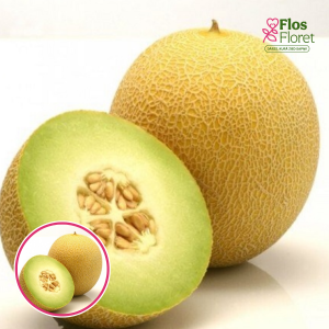 L37. Melone -  Jucar