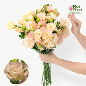 E24. Lizante, eustoma - Alissa Apricot