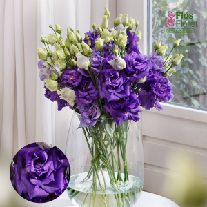 E25. Lizante, eustoma - Alissa Blue
