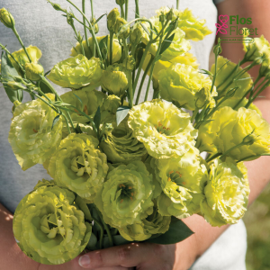 E46. Lizante, eustoma - Rosanne Green