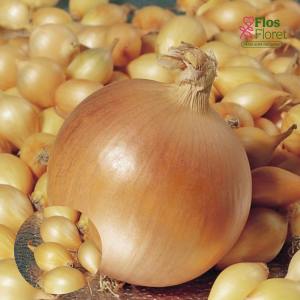 H24. Sīksīpoli - HERKULES PAVASARA 0,500 kg