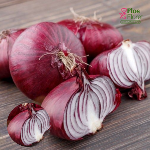 H30. Sīksīpoli - RED BARON (sarkanie) PAVASARA 0,500 kg