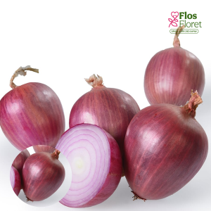 H31. Sīksīpoli - ROSANNA (rozā) PAVASARA 0,500 kg