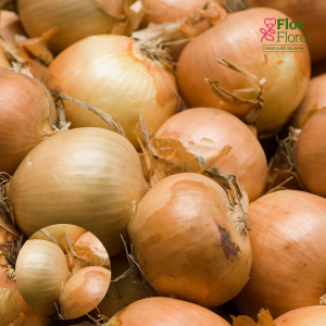 H33. Sīksīpoli - CRUSADO F1 PAVASARA 0,500 kg