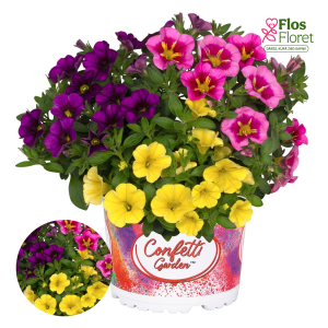 H84. Puķu maisījums - Confetti Garden Hawaiian Luau