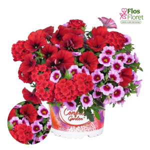 H89. Puķu maisījums - Confetti Garden Rockin' Red