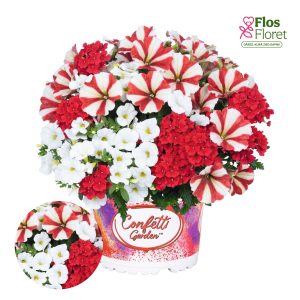 H92. Puķu maisījums - Confetti Garden Strawberry 2025