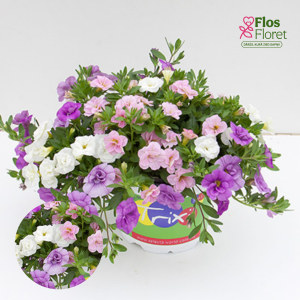 K7. Puķu maisījums - Pink Petticoat