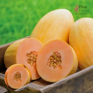 PV1195. Melone (potēta) - Mangomel F1